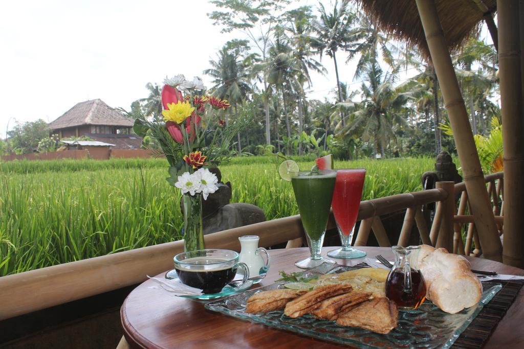 Pousada Junjungan Serenity &